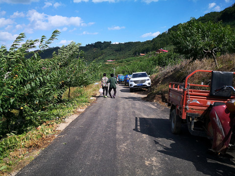 乡村小路