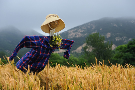 稻草人