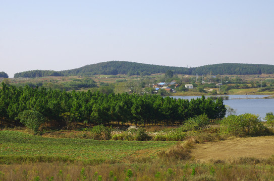 山谷水库