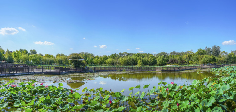 天津水上公园大画幅