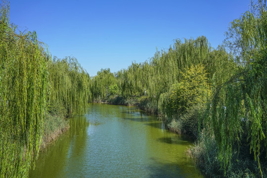 天津南翠屏公园河岸