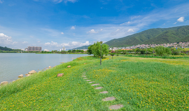 肇庆夏天风景波海公园