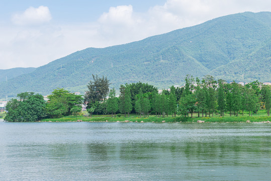 肇庆星湖风景区大自然景色