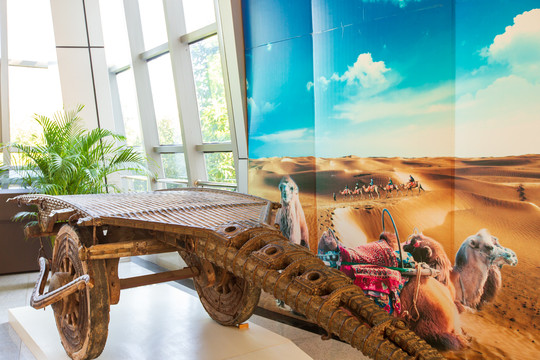 广西民族博物馆骆驼车