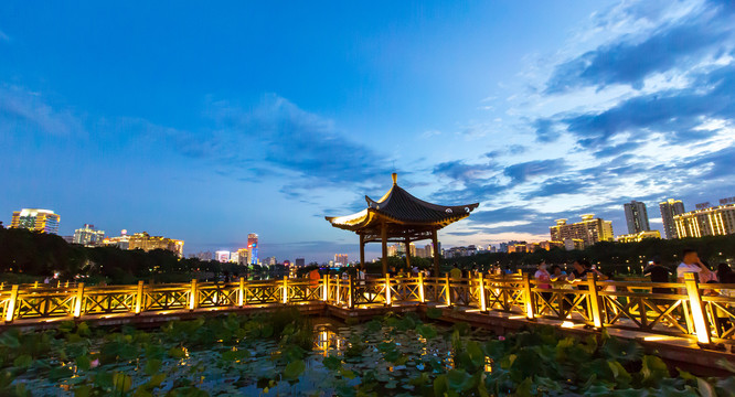 广西南宁南湖公园莲池夜景