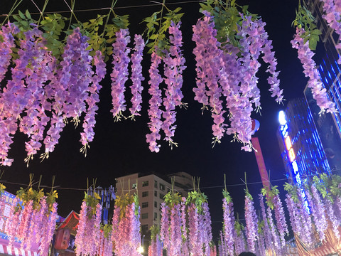 紫藤花