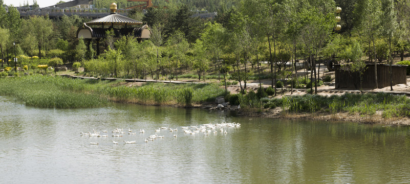 大同风景