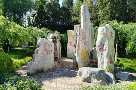 北京龙潭湖公园龙字石林
