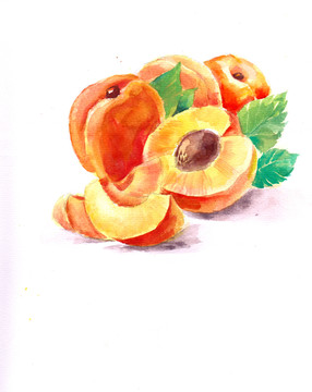 水果水彩手绘