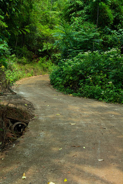 乡村公路