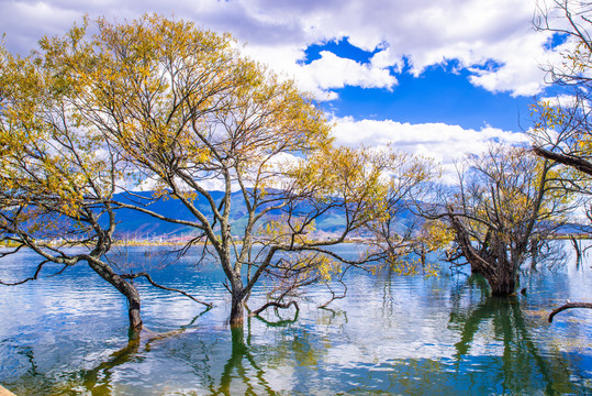 湖泊风景