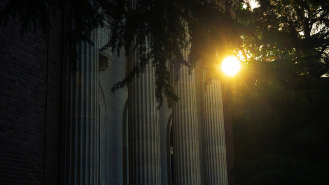 朝阳照过清华大学大礼堂前的树荫