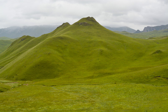 高山草场