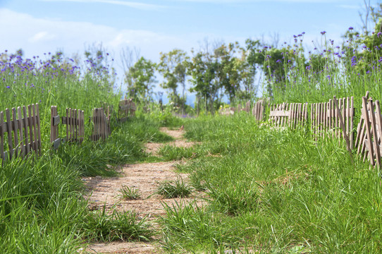 海丝生态公园路径