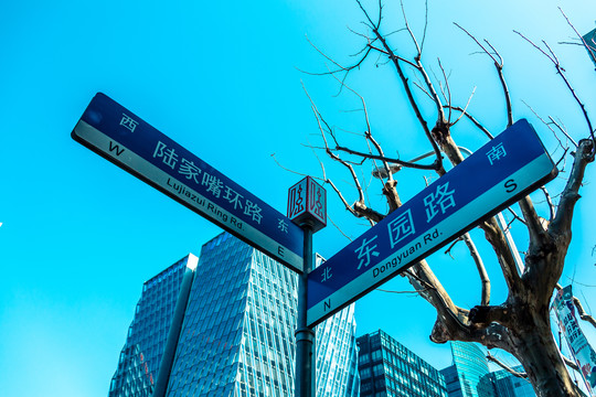 陆家嘴路牌