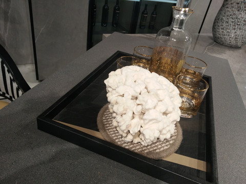 珊瑚