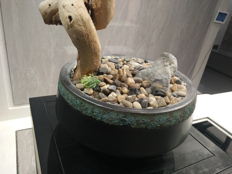花瓶
