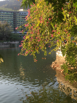 江门玉湖公园