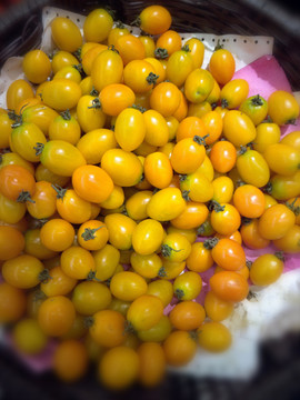 西红柿水果照片