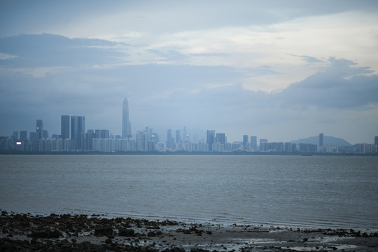 深圳湾眺望福田CBD