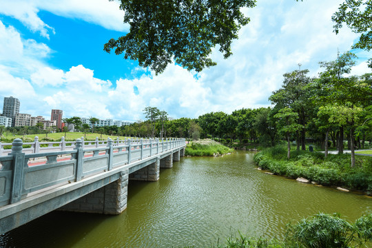 石岩湖湿地公园的湖水