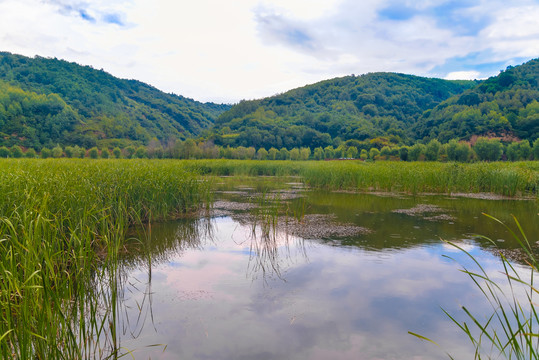 南泥湾风光