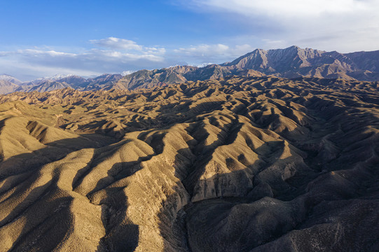 高山流域