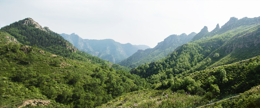 大青山