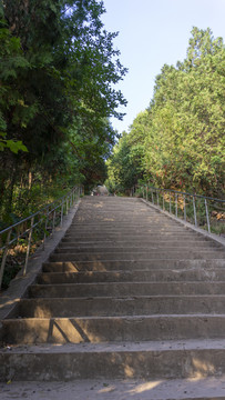 山水风景