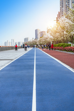 杭州最美跑道滨江樱花大道