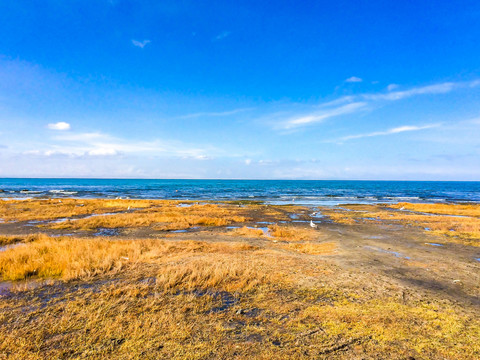 青海湖风光风景