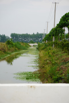 灌溉渠
