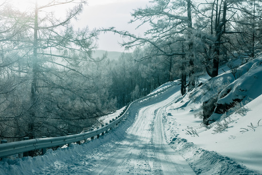 积雪公路冬季森林清晨