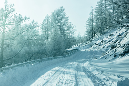 冬季森林积雪公路