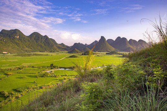 广西田园风景