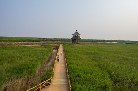 航拍黄河三角洲生态旅游区