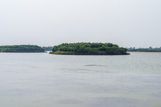 黄河入海口风光