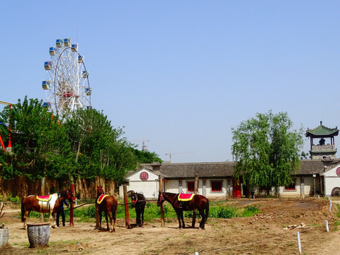 马匹游乐园