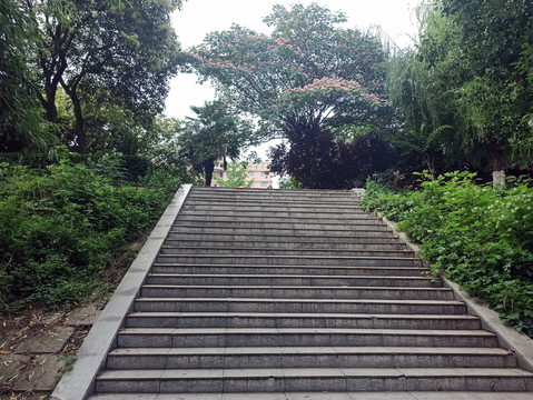 石头台阶