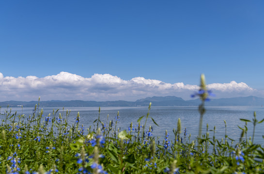 高原湖泊