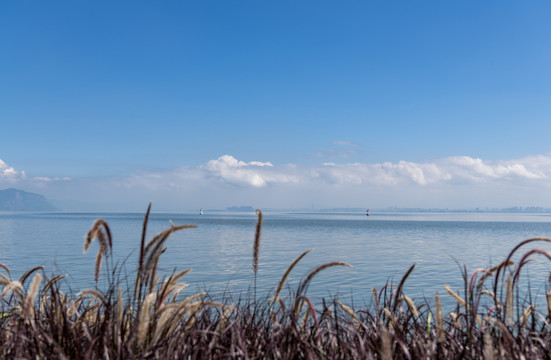 高原湖泊