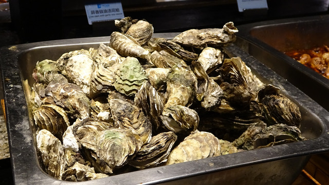 扇贝贝壳海鲜生蚝