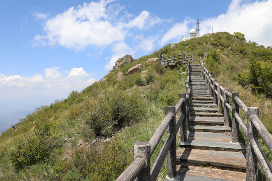 百花山