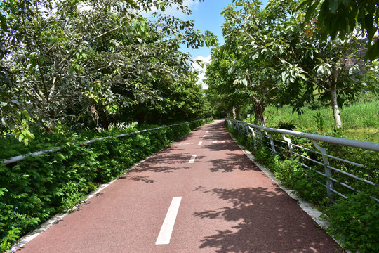 松山湖骑行道