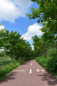 松山湖骑行道