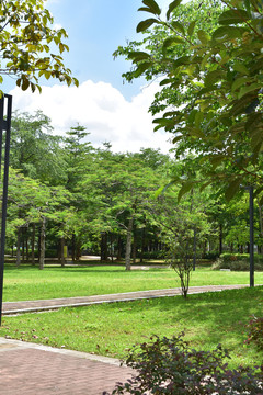 松山湖太鲁阁公园