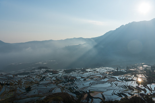 云南元阳多依树梯田