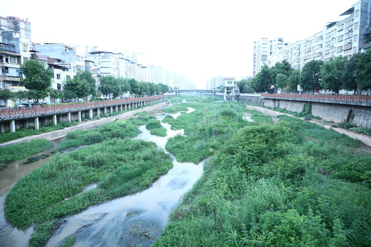 广东省河源市和平县城河流