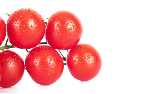 特写带水珠的西红柿