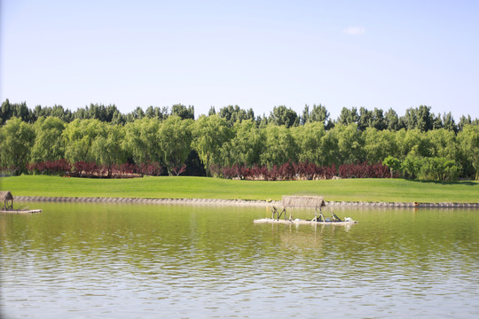 北京大兴野生动物园